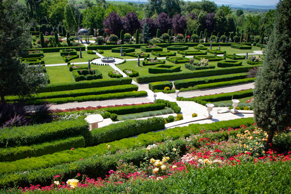 Un vis devenit realitate - I Giardini di Zoe Un vis devenit realitate - I Giardini di Zoe